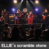 ELLIE's scramble stone