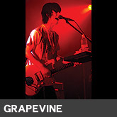 GRAPEVINE