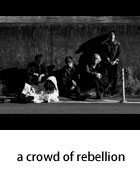 a crowd of rebellion