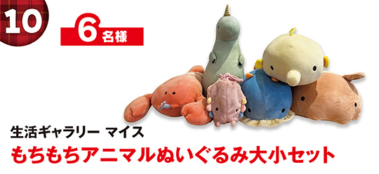 生活ギャラリー マイス