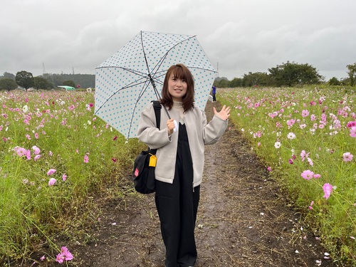 鬼怒グリーンパークのコスモスまつり