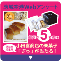 茨城空港 Radio Berry Fm栃木