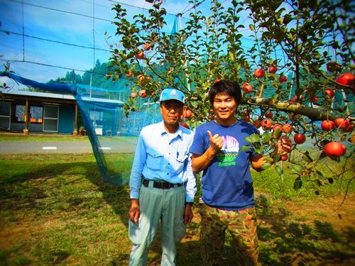 りんご 益子style ｜ RADIO BERRY FM栃木
