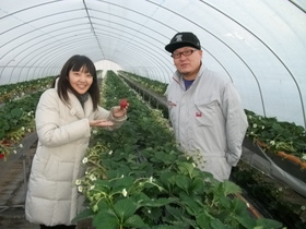 ほっと Hotもおか Radio Berry Fm栃木 ほっと Hotもおか Radio Berry Fm栃木