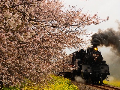 こちらがお手本写真①