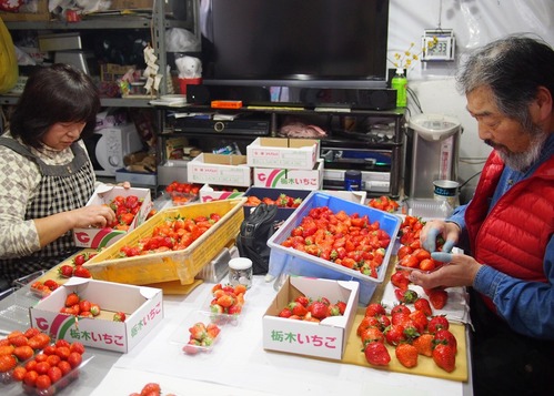 SA・KU・RA FM ｜ RADIO BERRY FM栃木