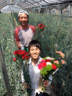 Sa Ku Ra Fm Radio Berry Fm栃木