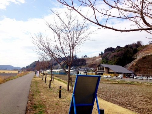 ずっと先まで桜の木が続いてます！