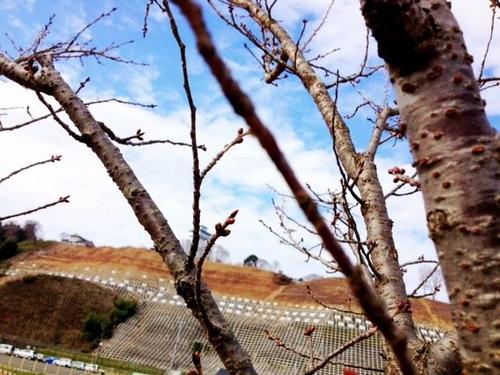 遠くに見えるのはお丸山