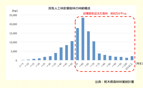 とちぎのいい木『とちぎ材』のすすめ！ ｜ RADIO BERRY FM栃木