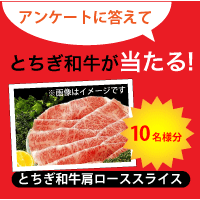 アンケートに答えてとちぎ和牛が当たる！