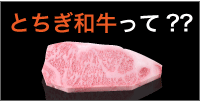 とちぎ和牛って？
