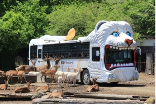 Zoo〜っとアニマル！ ｜ RADIO BERRY FM栃木